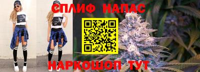 мдпв Малгобек