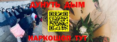 стафф Ижевск