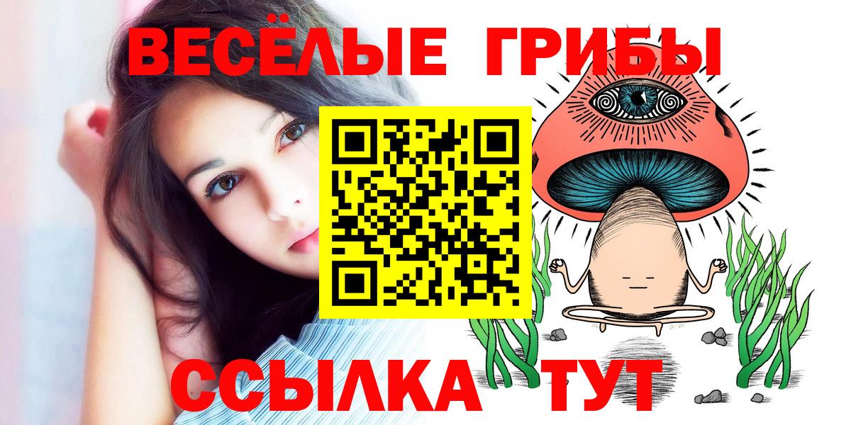 Галлюциногенные грибы Psilocybine cubensis Томск