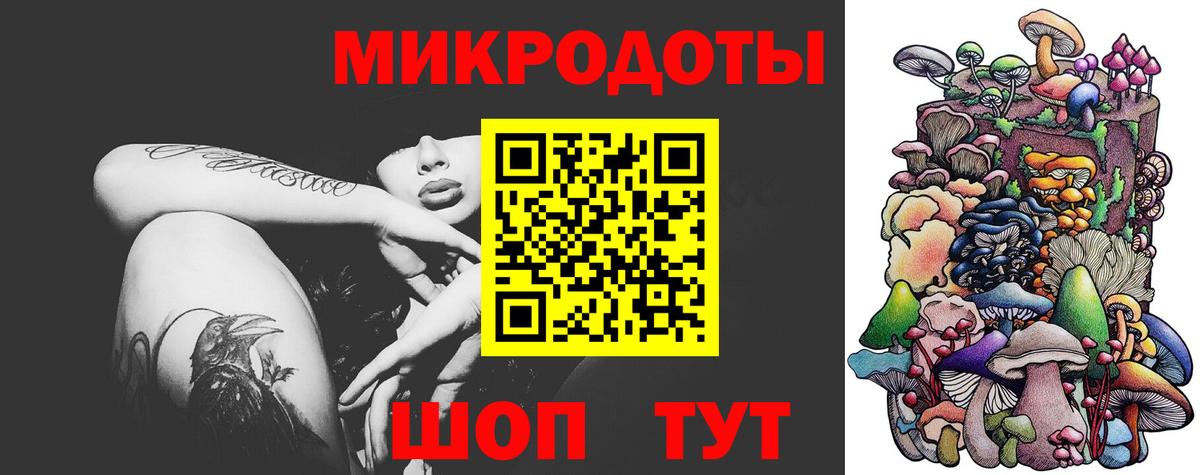 где можно купить наркотик  Вход с VPN  Томск  Псилоцибиновые грибы мицелий 
