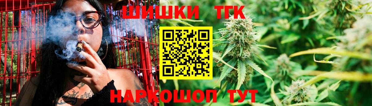 Конопля сатива Томск